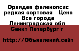 Орхидея фаленопсис редкая сортовая › Цена ­ 800 - Все города  »    . Ленинградская обл.,Санкт-Петербург г.